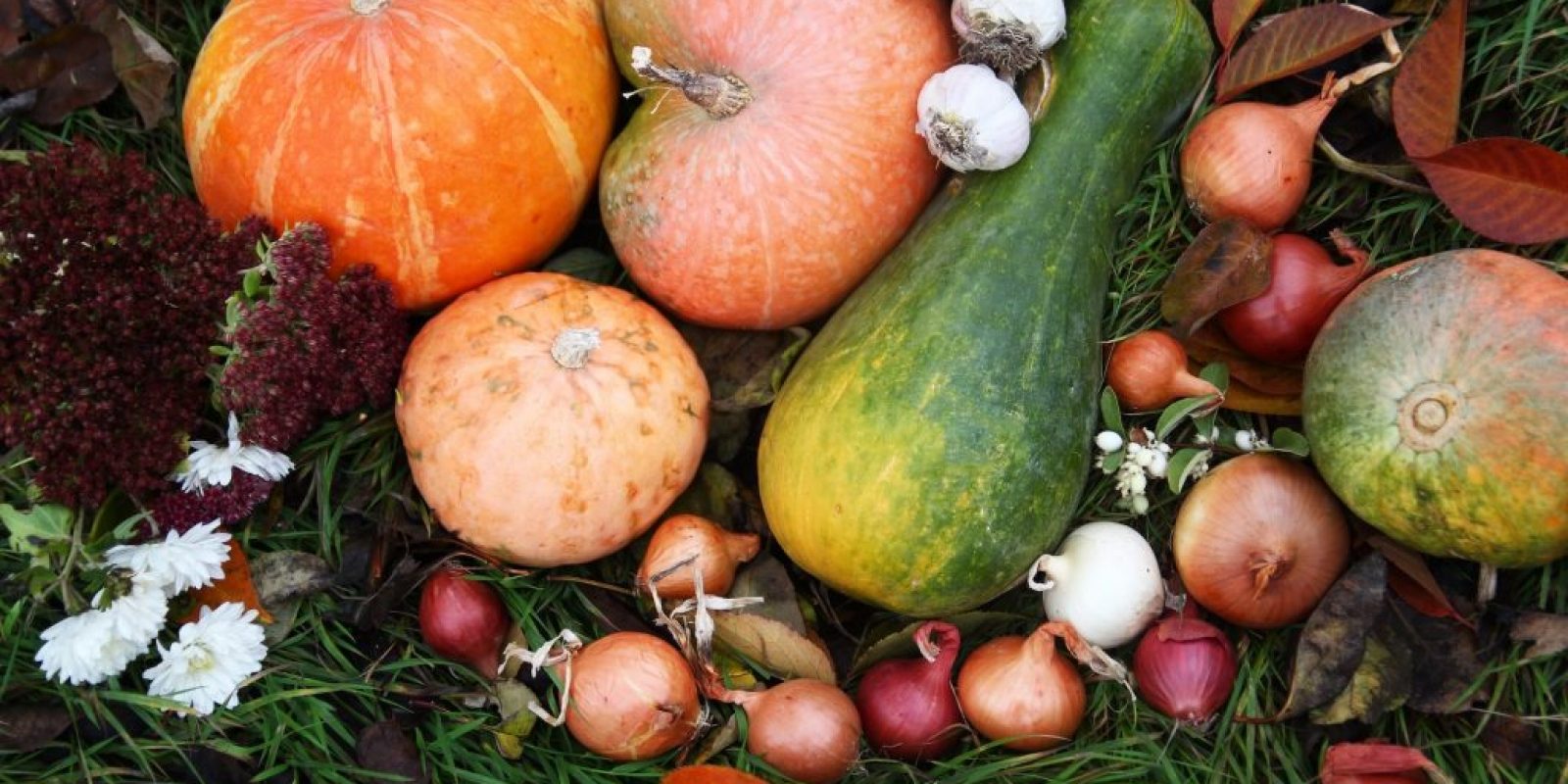 Gemüse Saison November