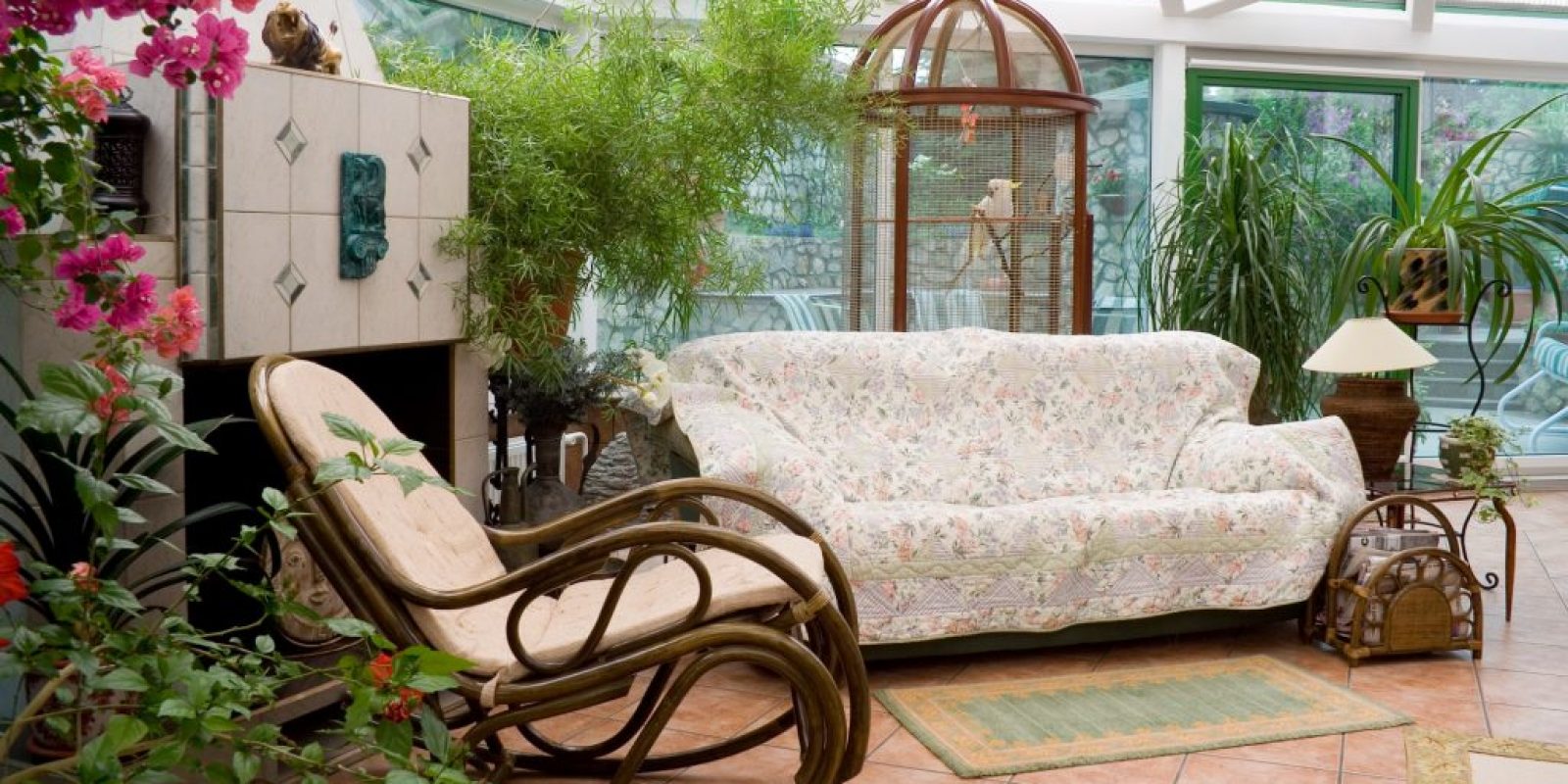 Wintergarten Pflanzen