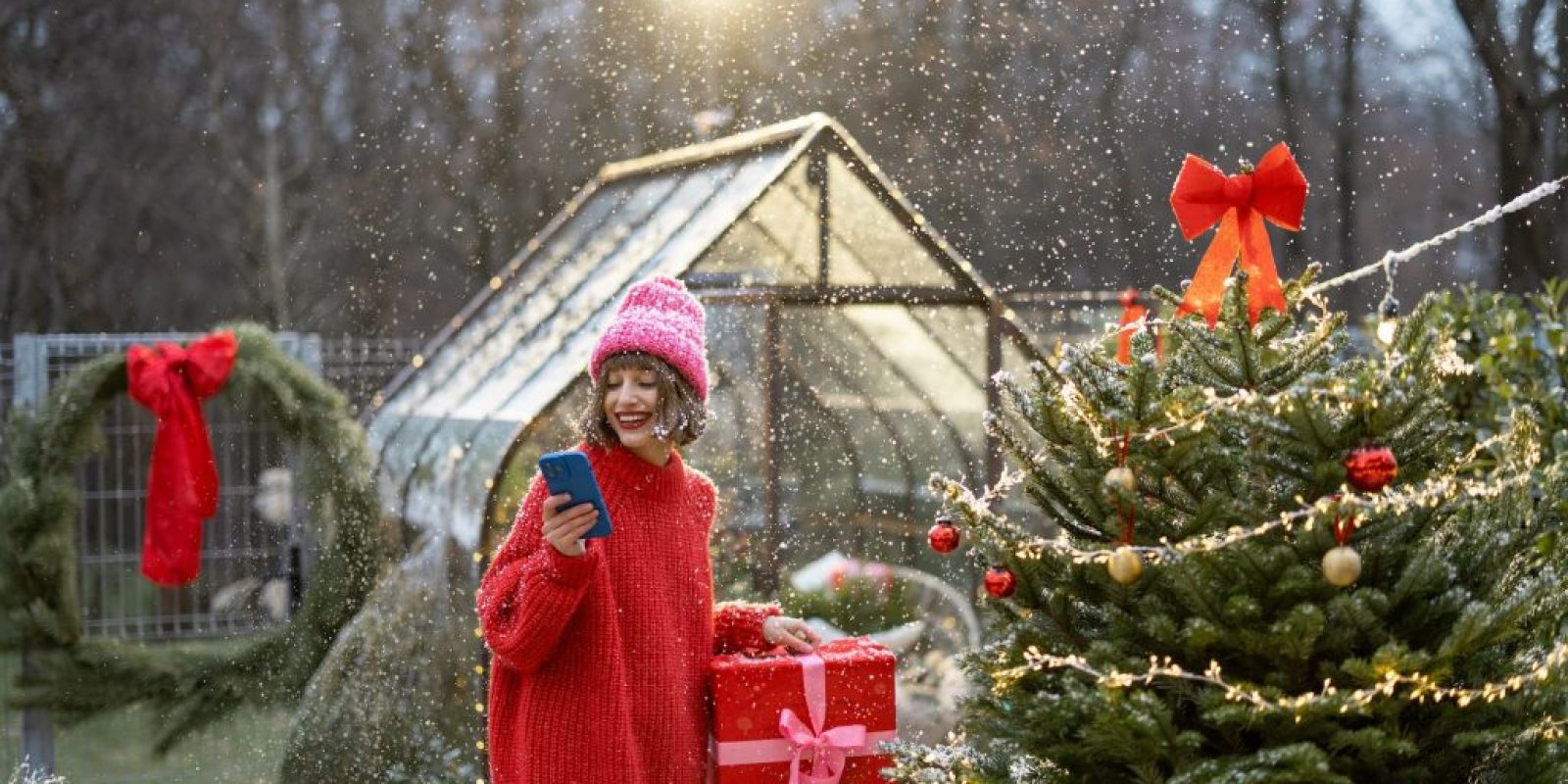 Gartenarbeit Dezember
