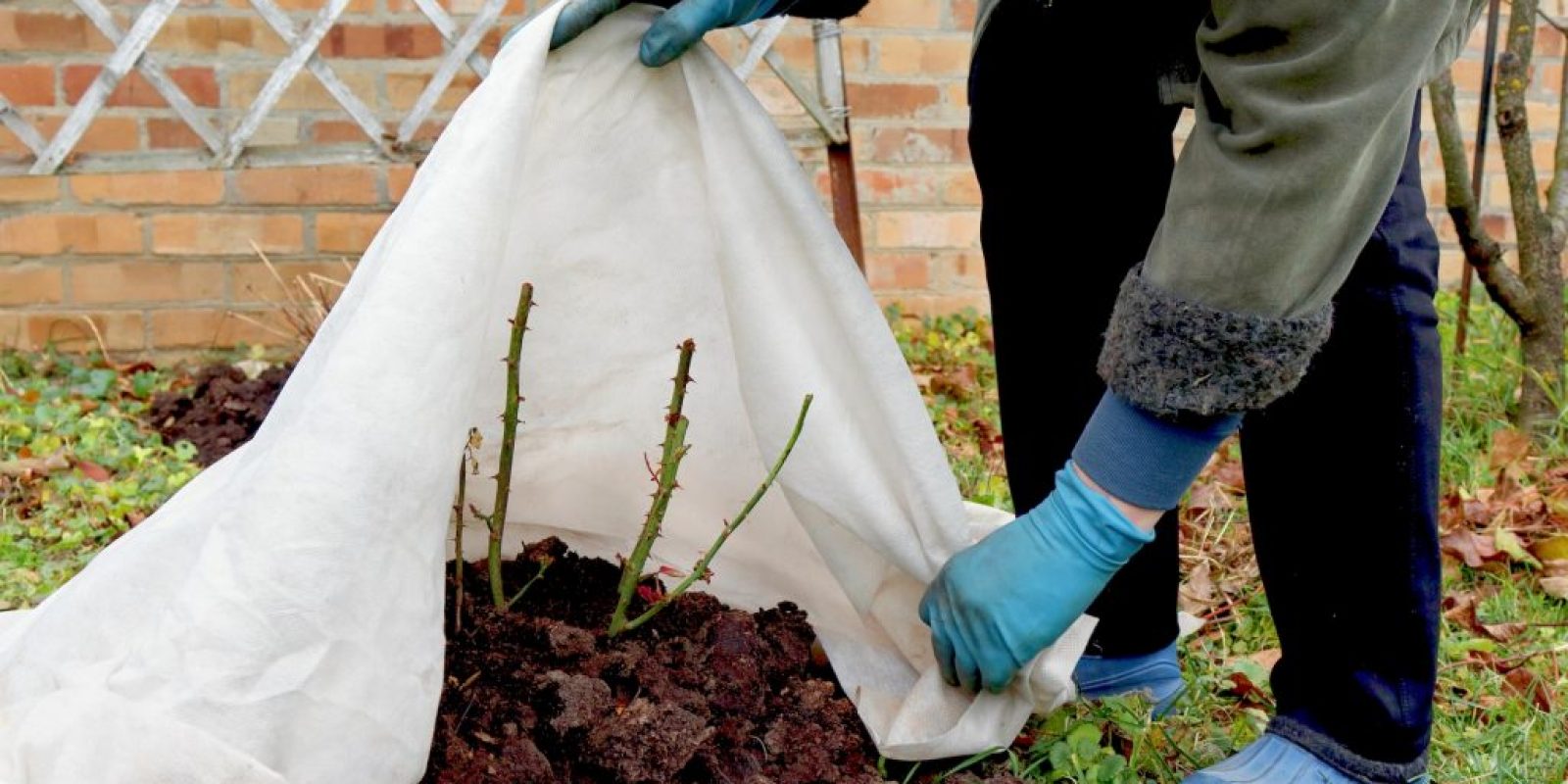 Gartenarbeit im Winter