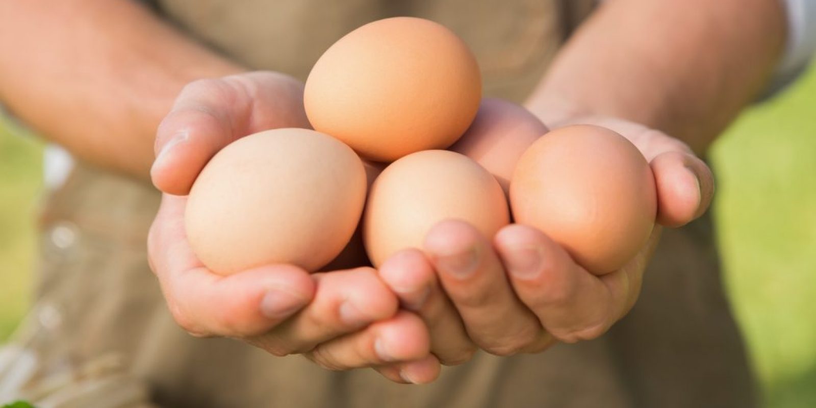 Warum werden Eier beim Kochen hart