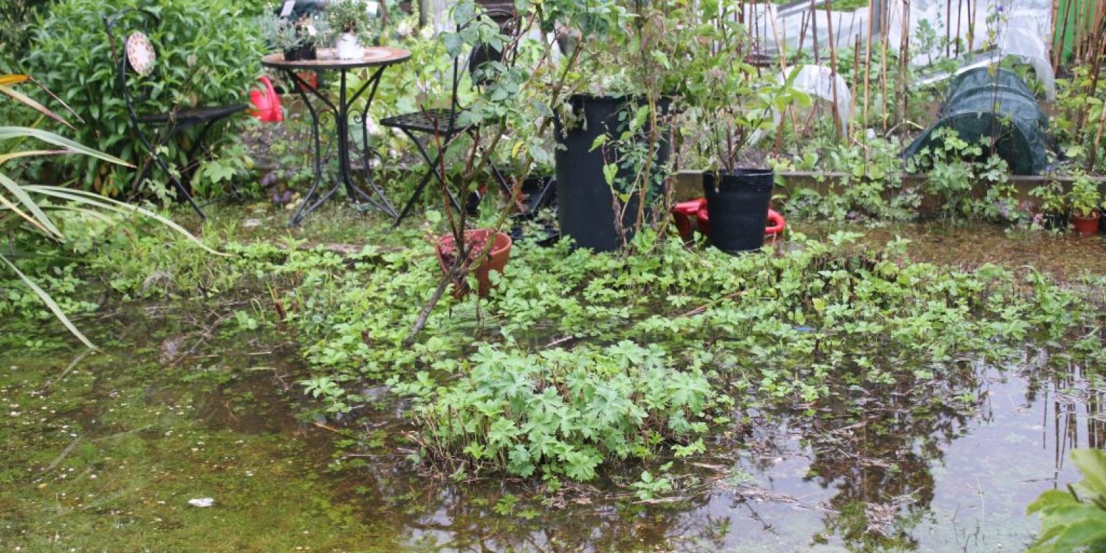 Hochwasser im Garten