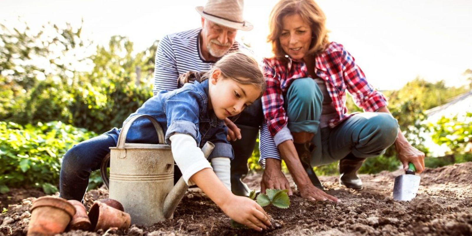 Arbeiten im Garten im März