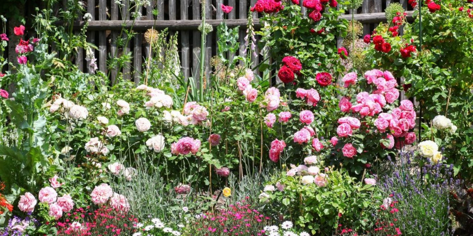 Blumenbeete gestalten