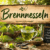Brennnesseln