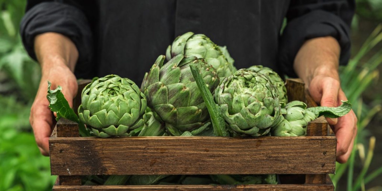 Die Bruderschaft der Artischocke aus Saint-Pol