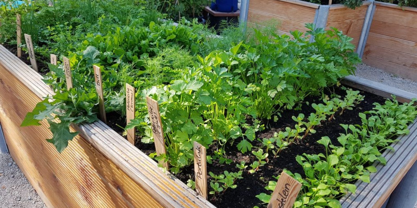 Hochbeete selber bauen