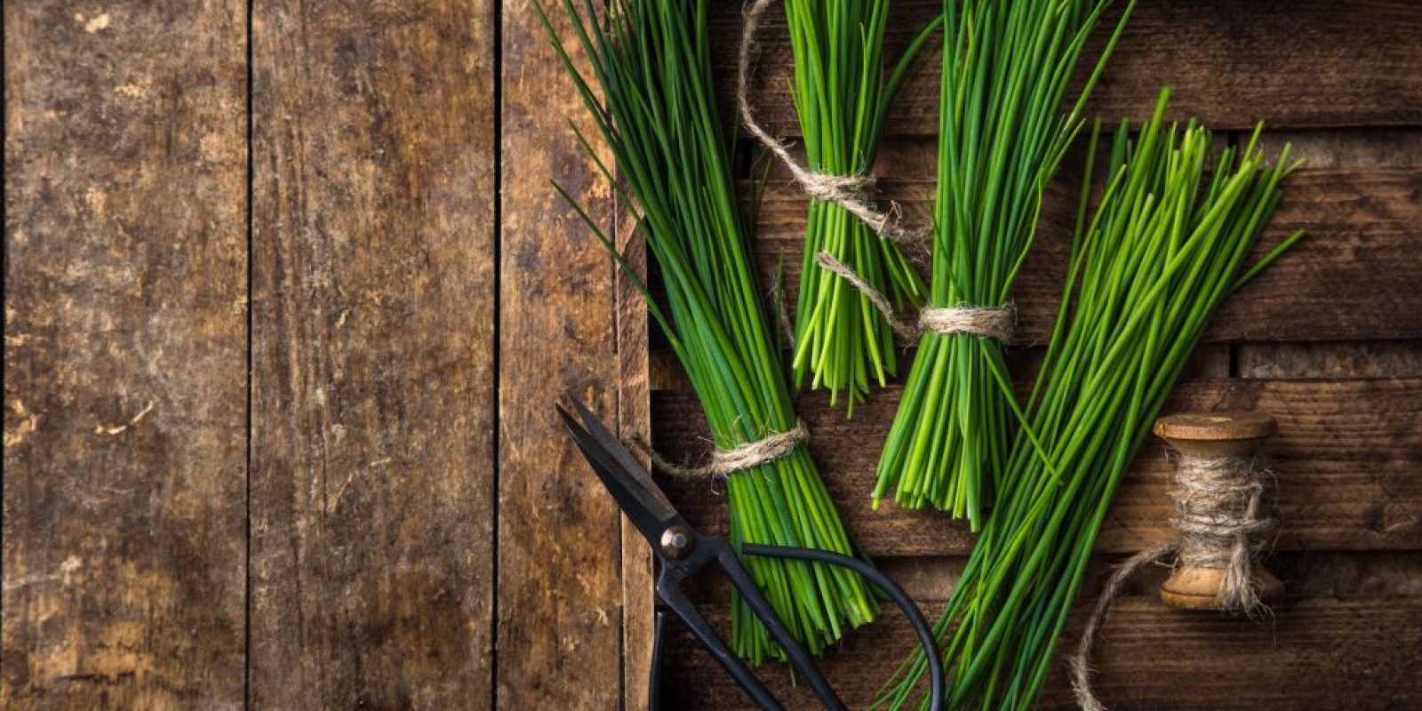 Schnittlauch