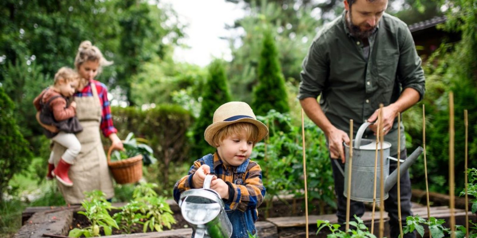 Aus welchem Material kann man Hochbeete bauen