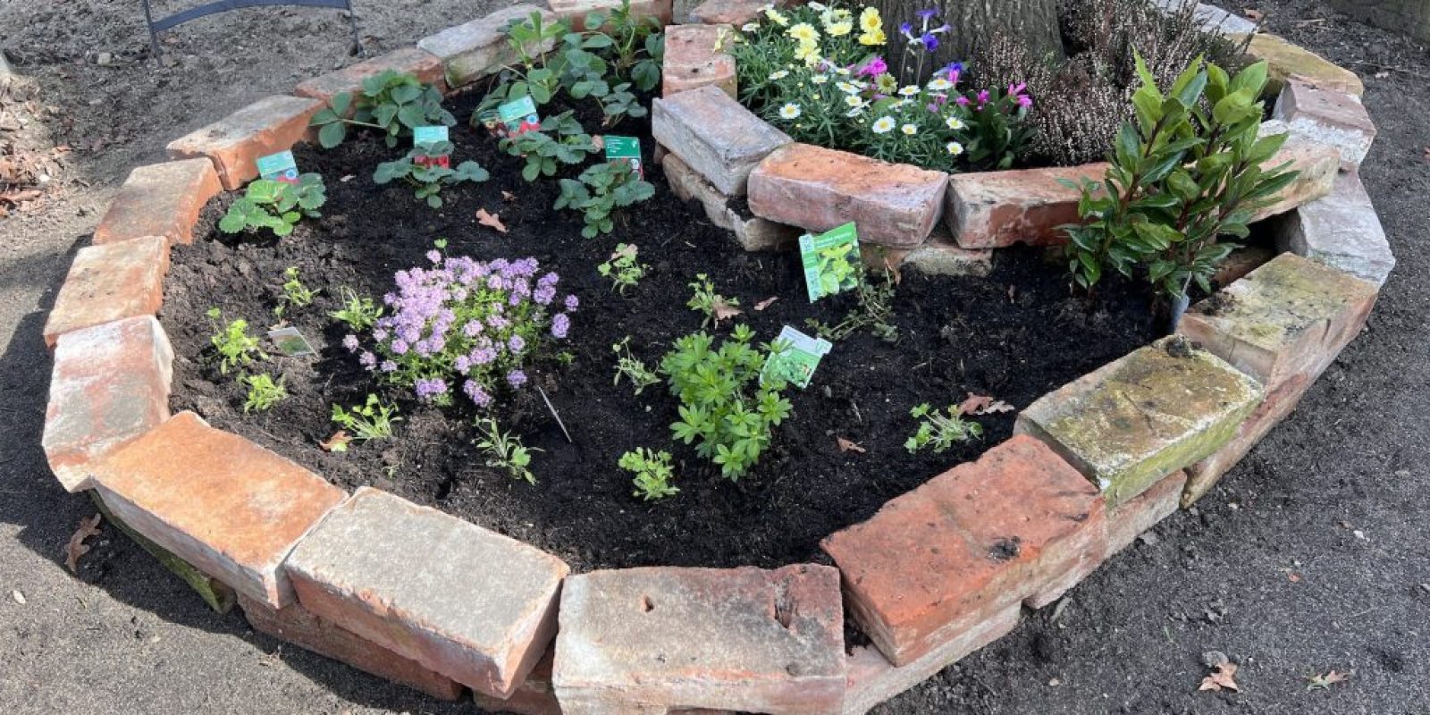 Baumumrandung Ziegelsteine