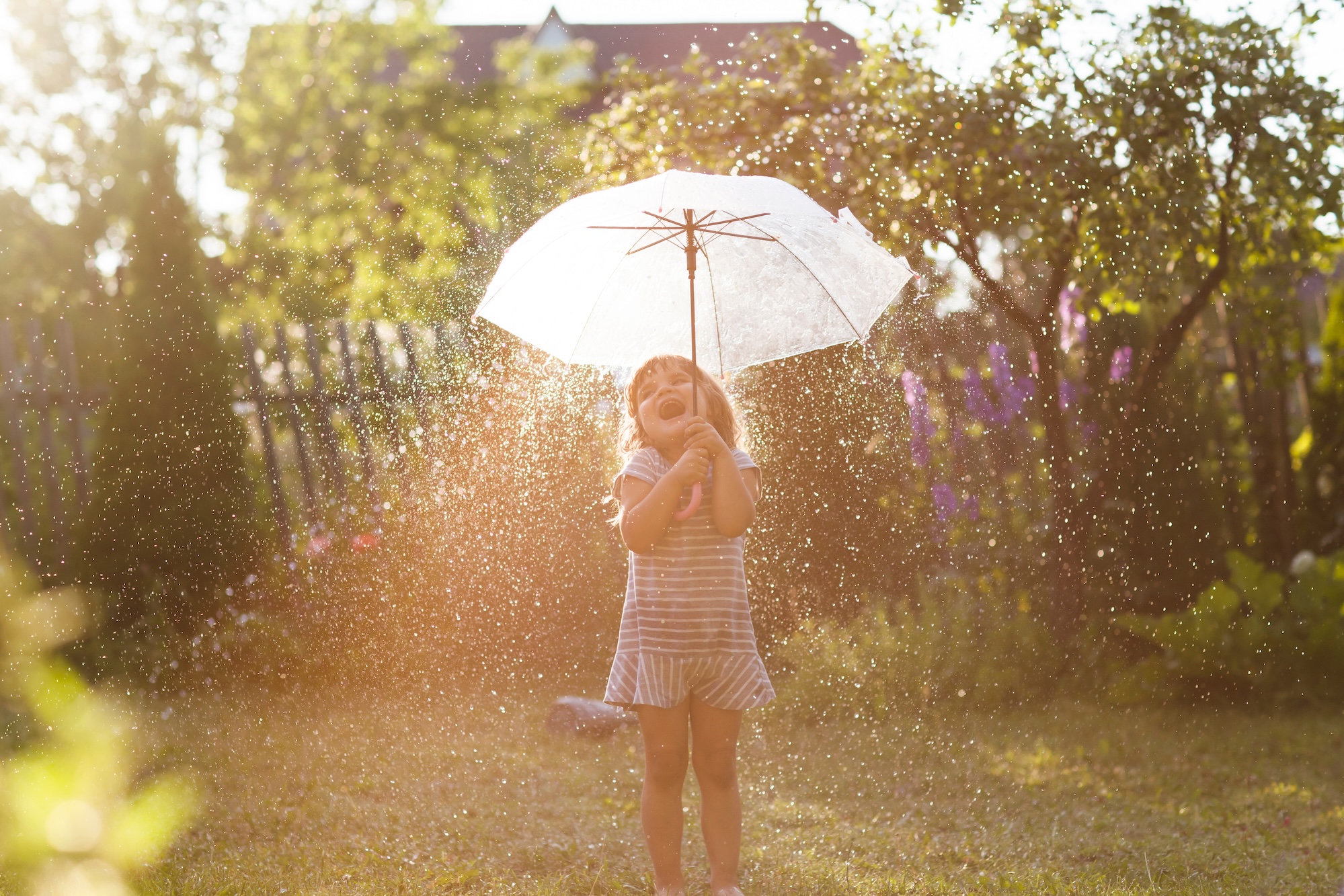 Bei Regen im Garten arbeiten Bei Regen im Garten arbeiten