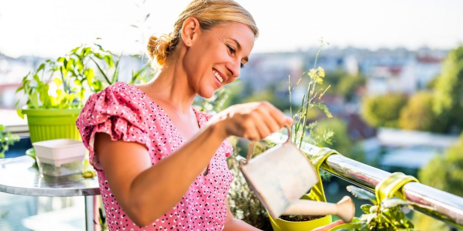 Erdbeeren auf dem Balkon anpflanzen