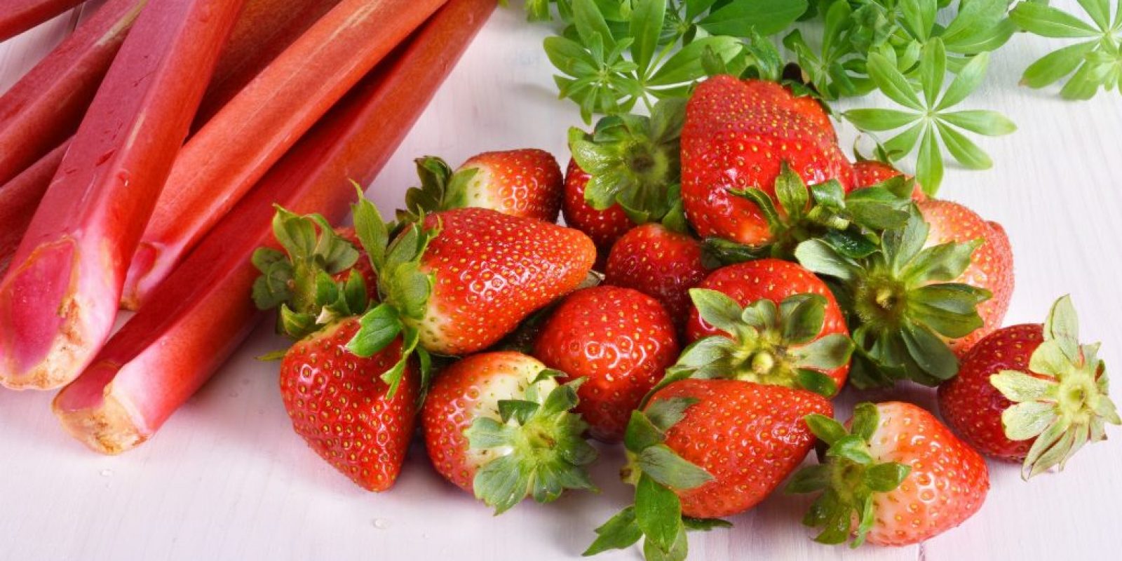 Erdbeeren und Rhabarber haltbar machen