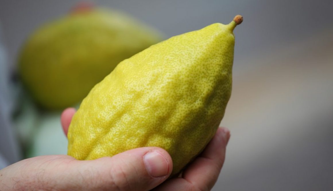 Etrog