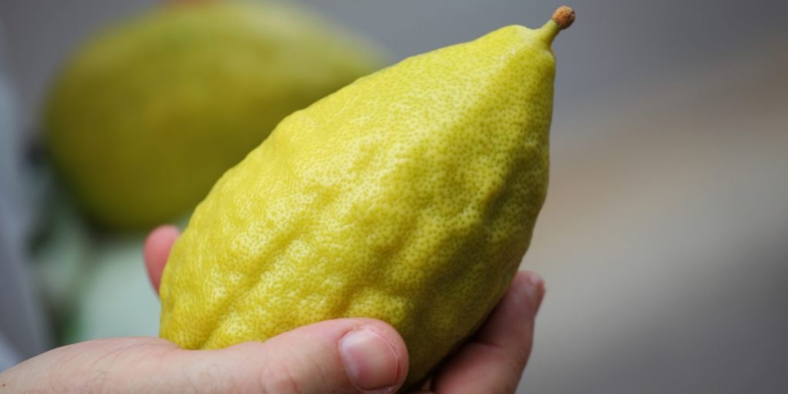 Etrog