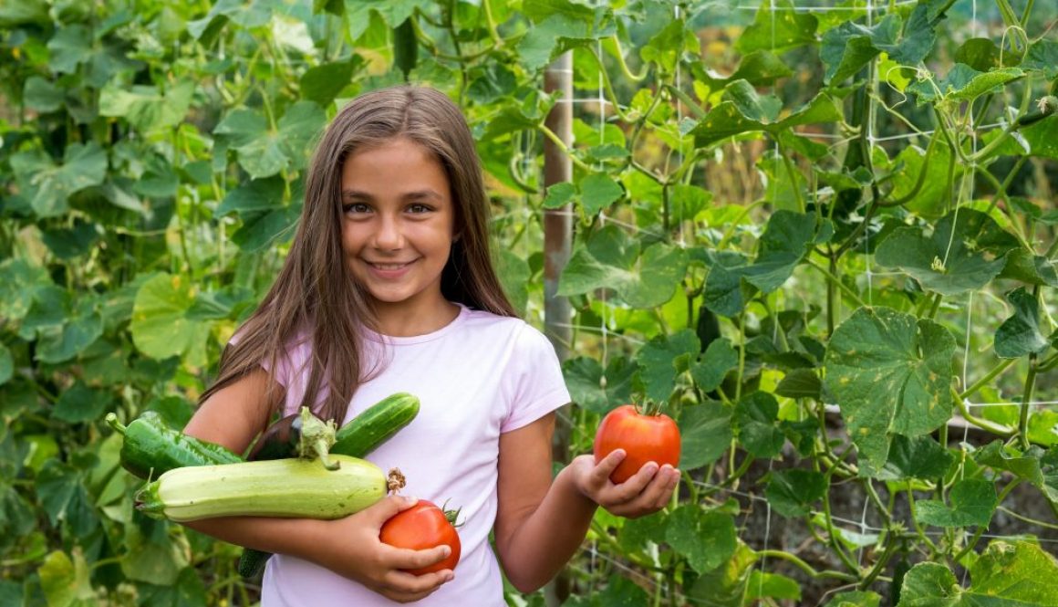 Gemüsegarten für Kinder