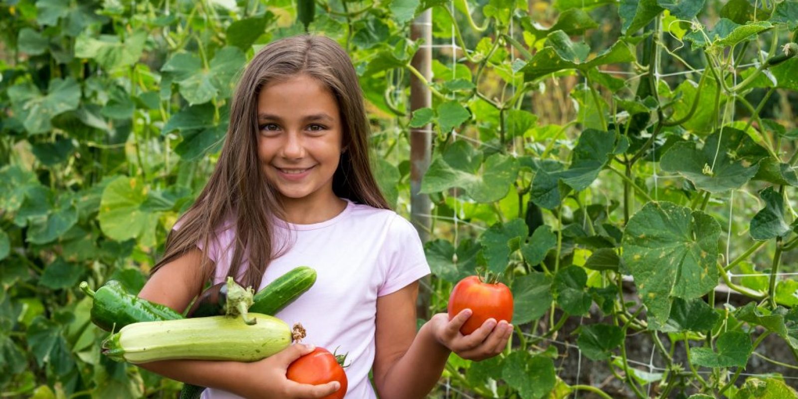 Gemüsegarten für Kinder