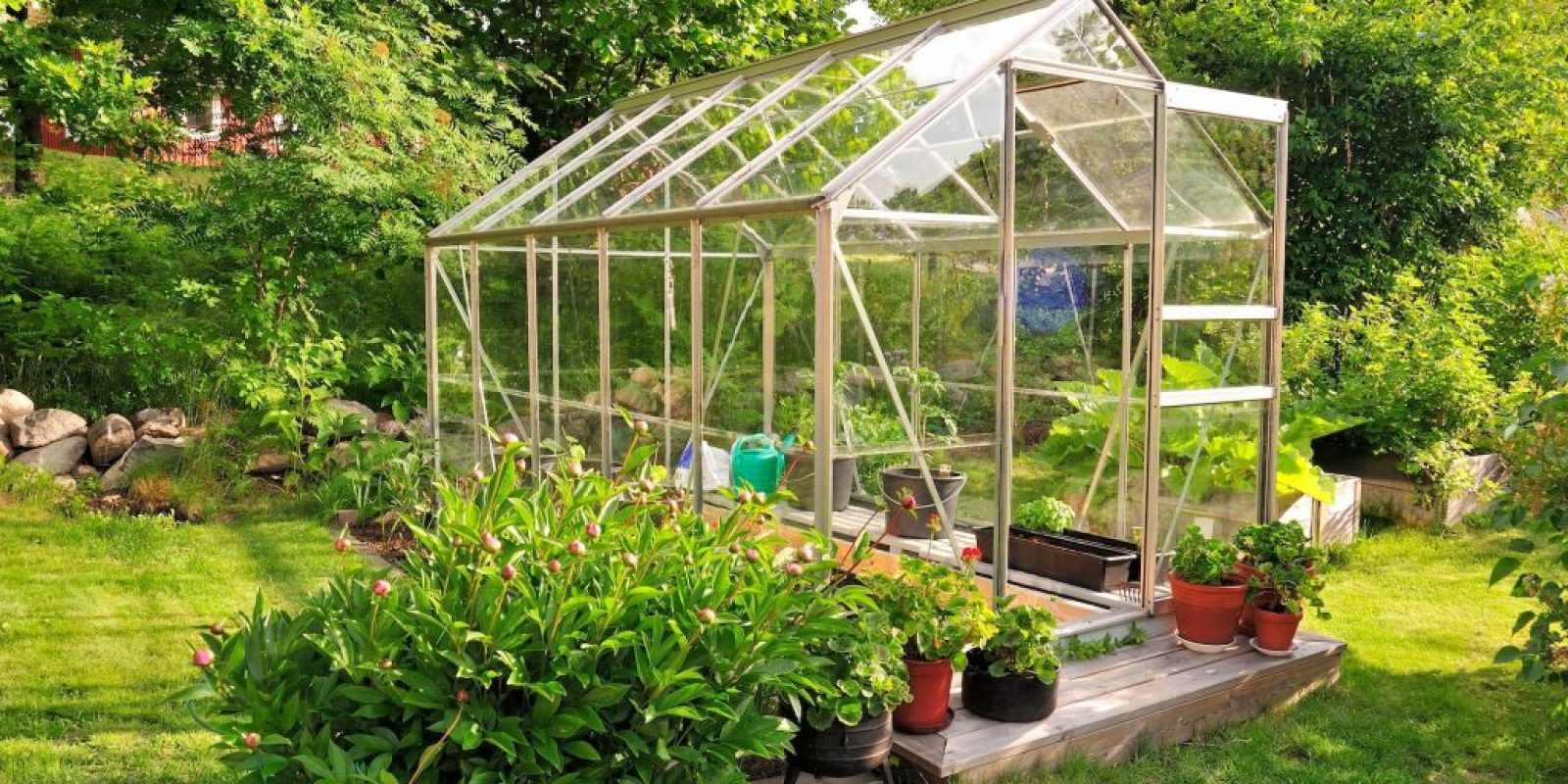 Gewächshaus