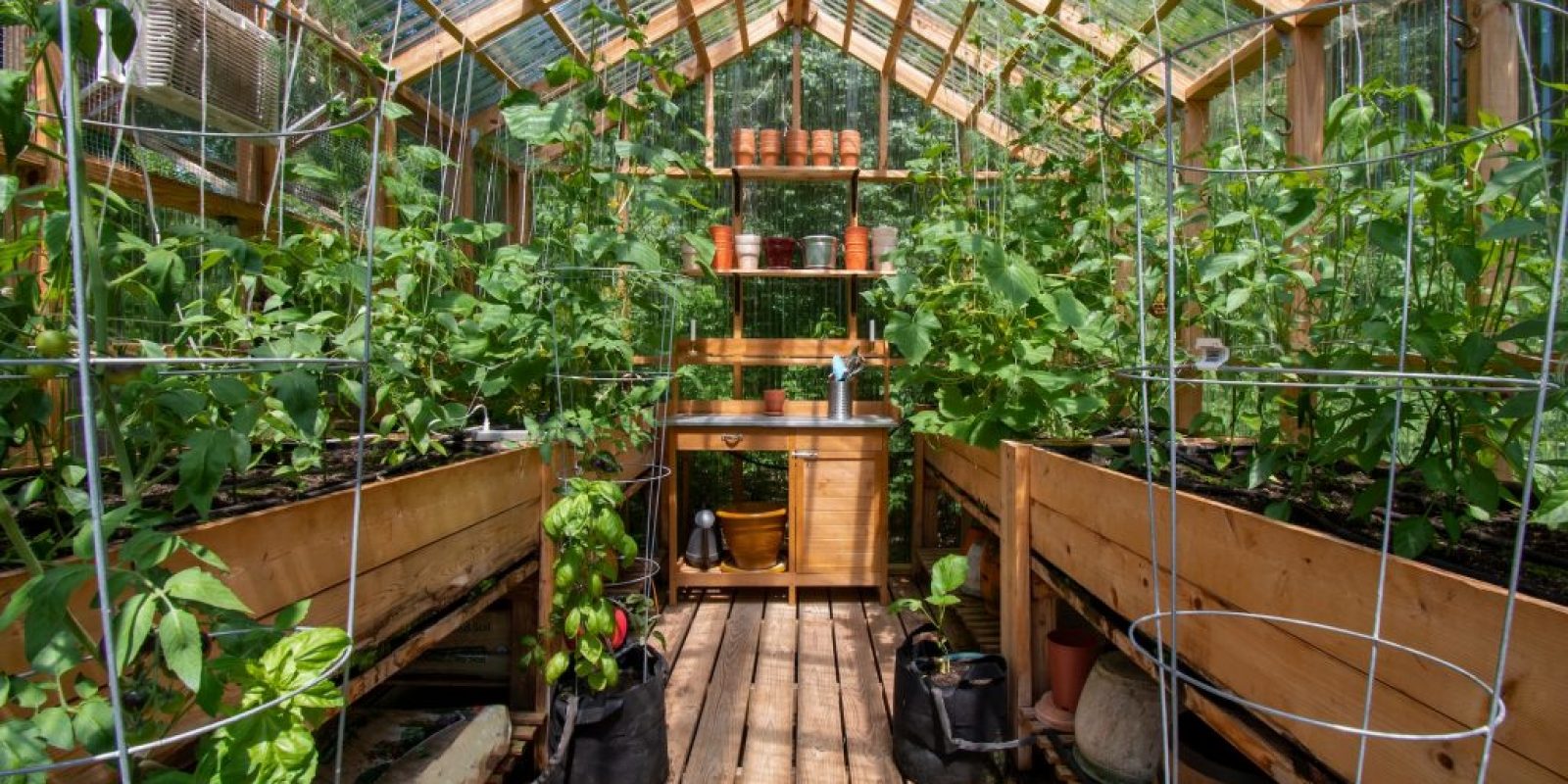 Gewächshaus selber bauen