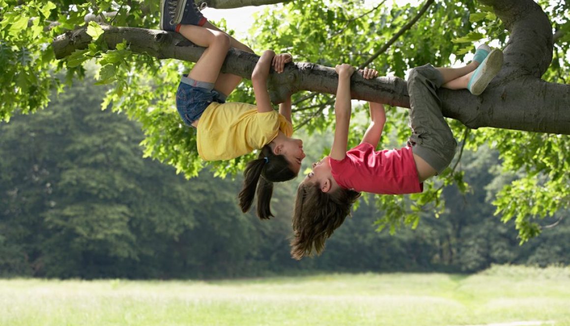 Kletterbaum für Kinder