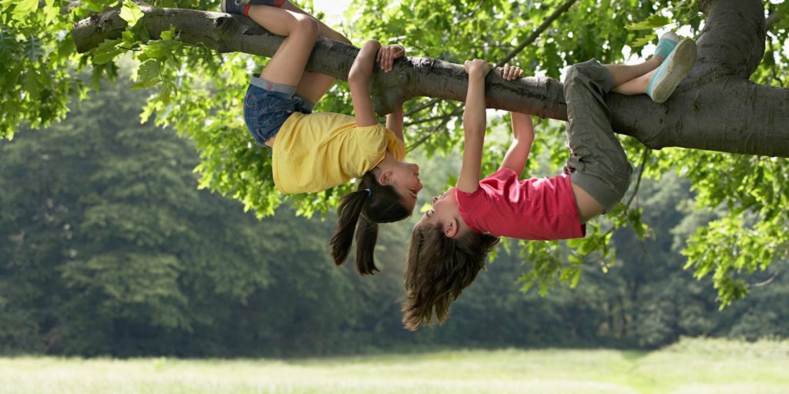 Kletterbaum für Kinder