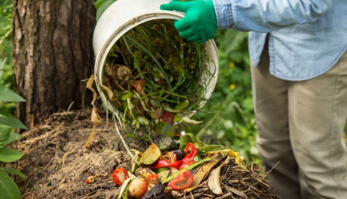 Kompostieren leicht gemacht