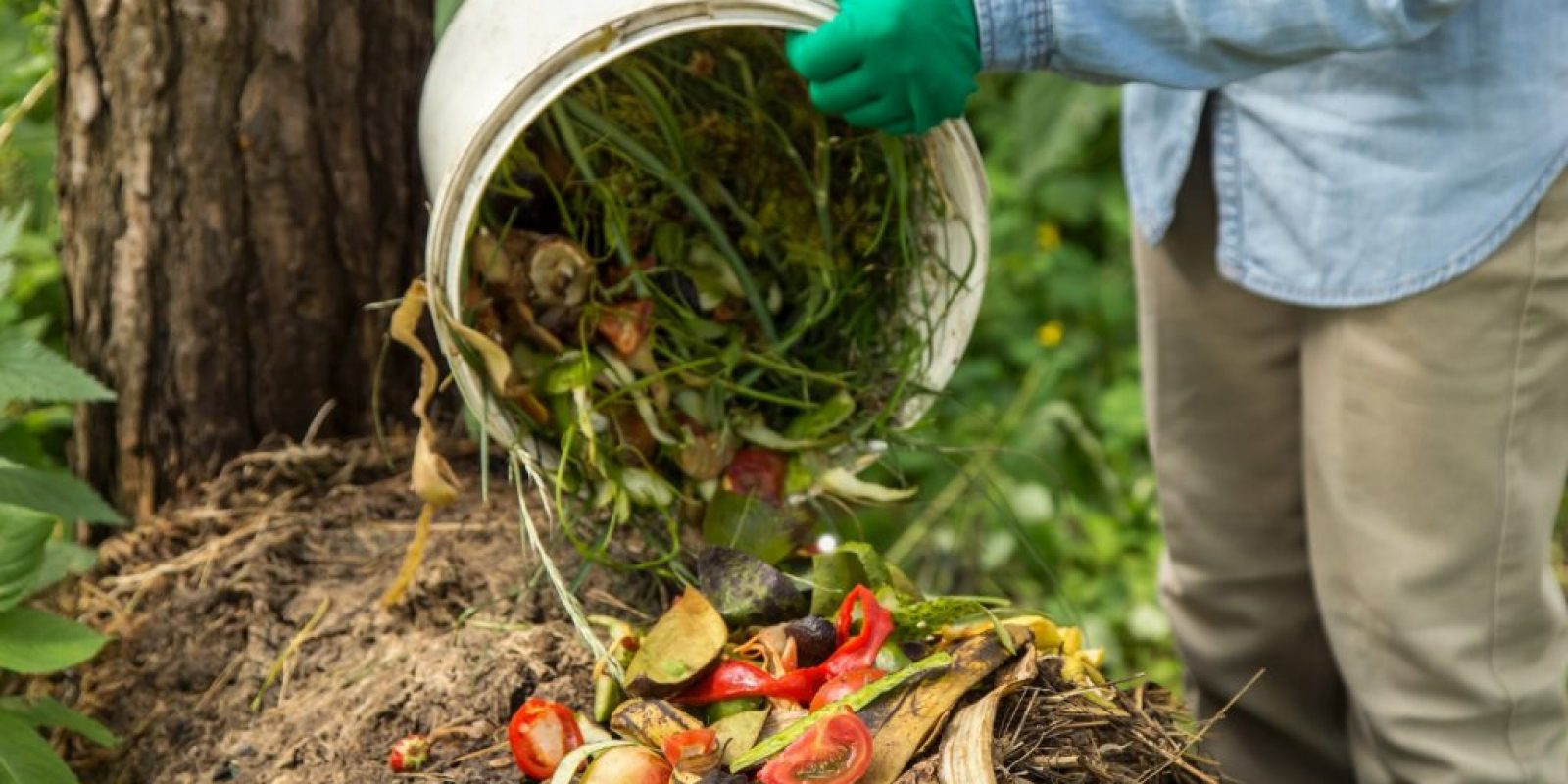Kompostieren leicht gemacht