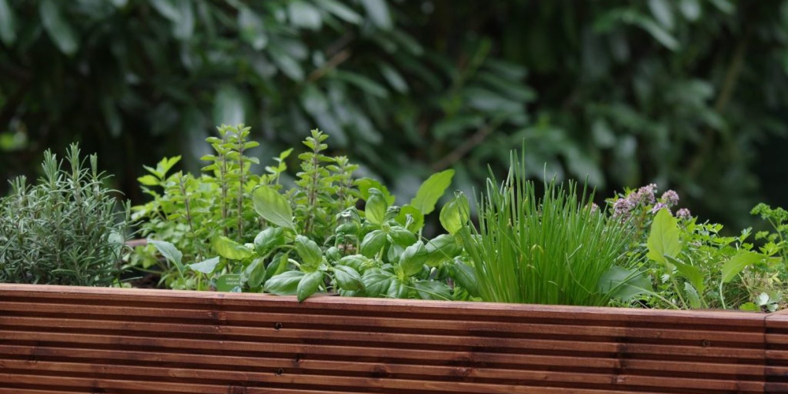 Kräuterhochbeet selber bauen