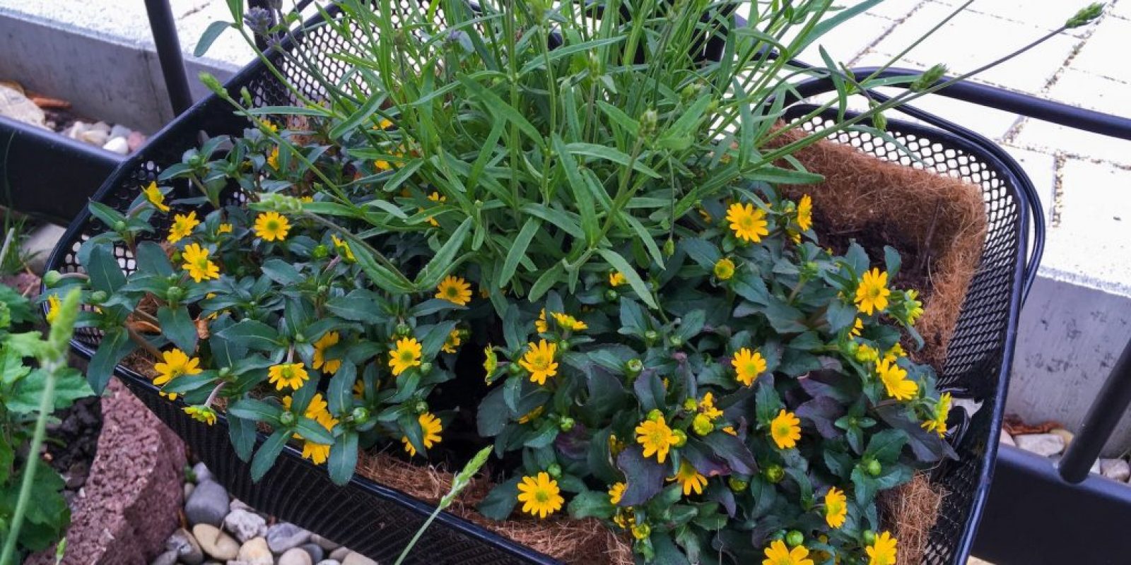 Pflanzgefäße selbstgemacht