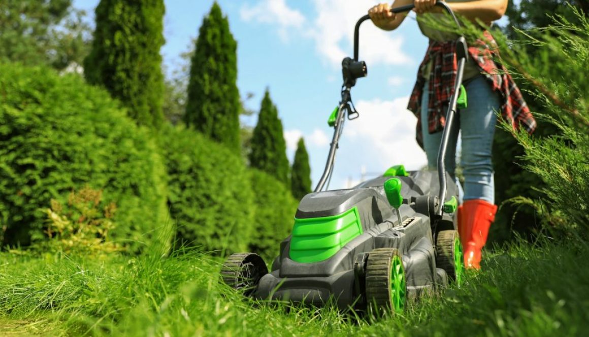 Rasenpflege im Frühjahr