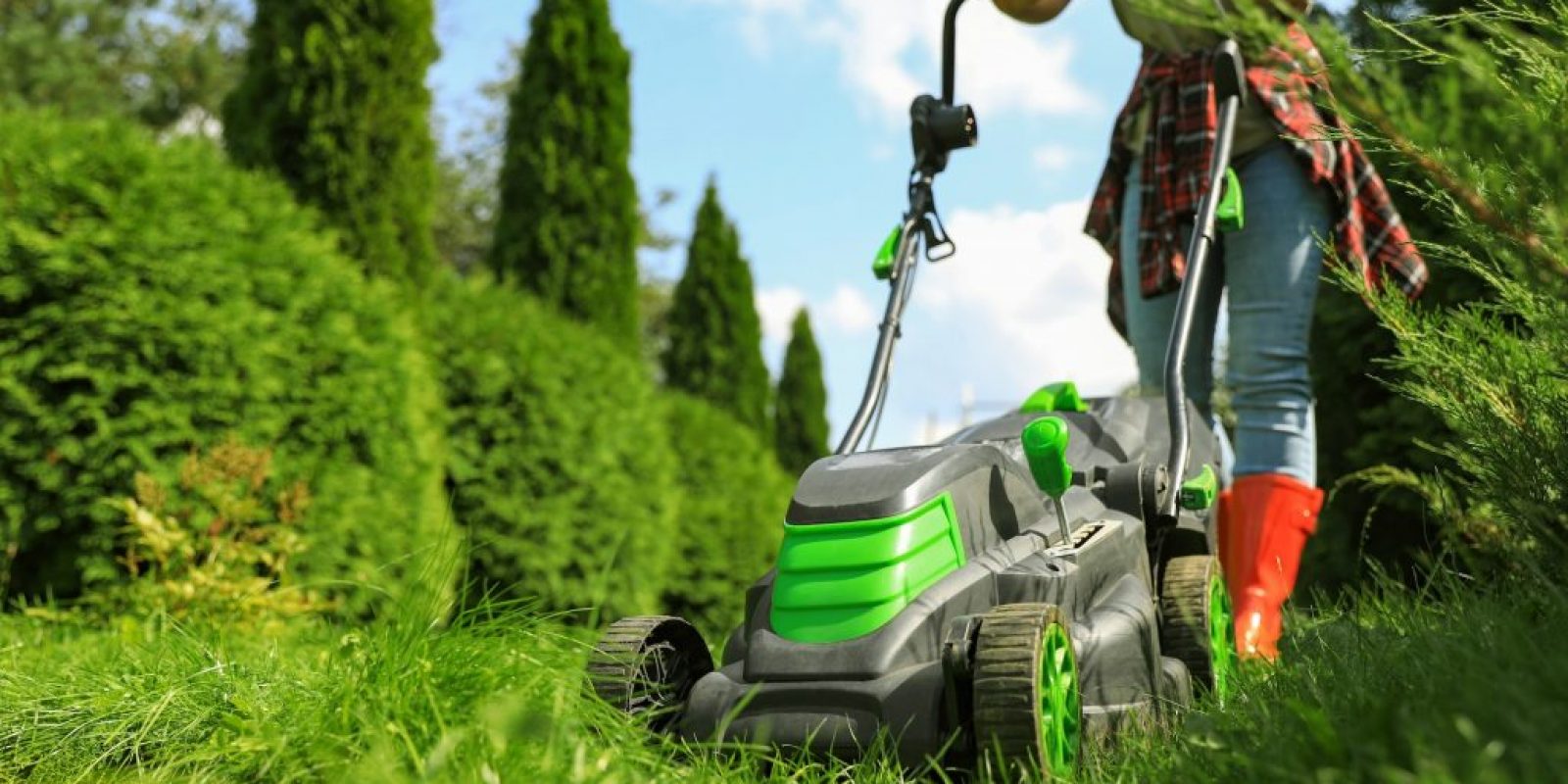 Rasenpflege im Frühjahr