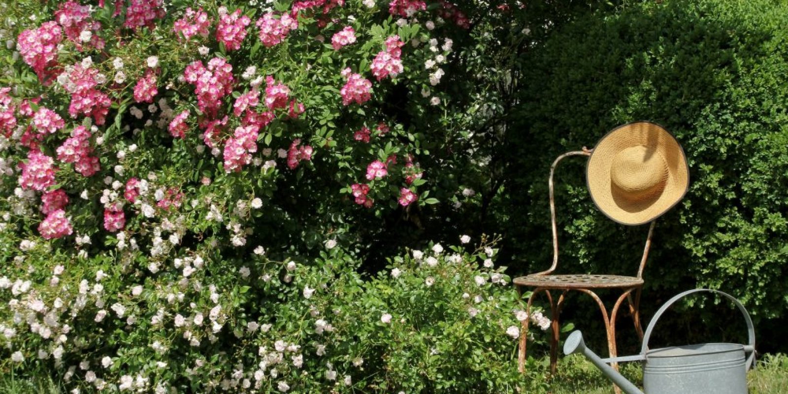 Romantikgarten anlegen