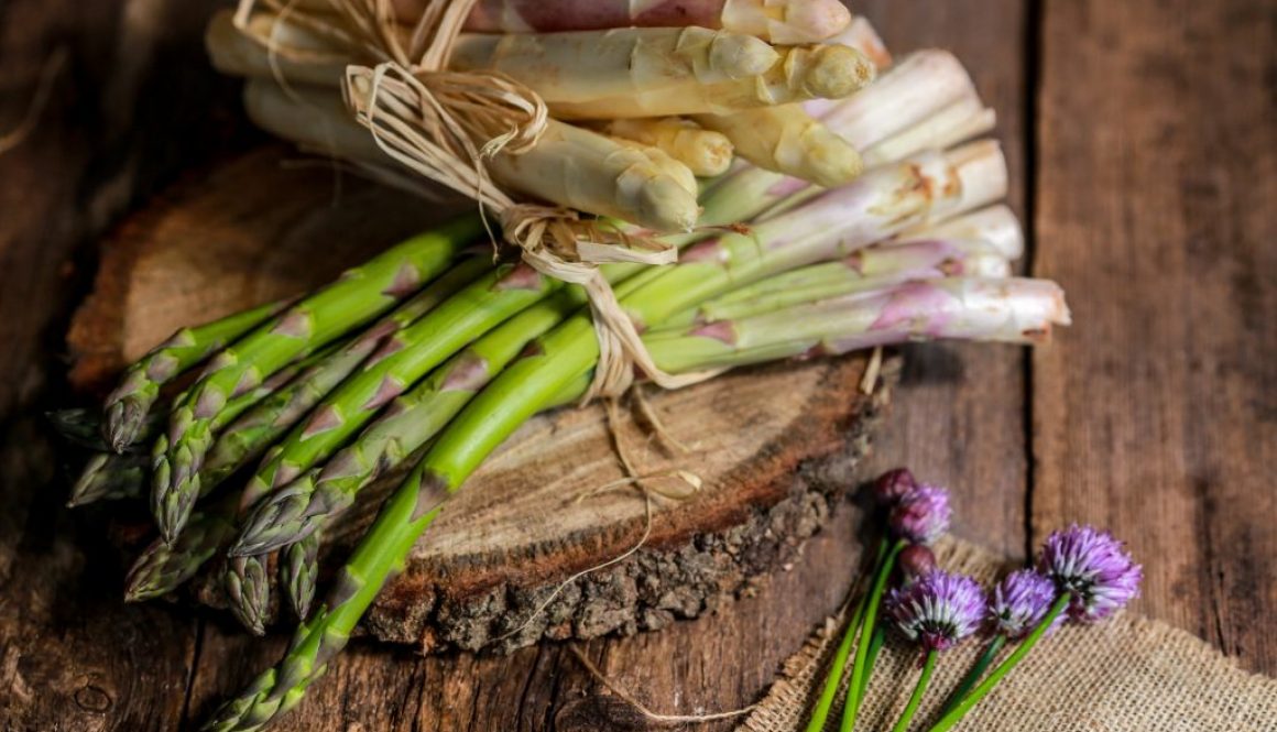 Spargel Rezepte