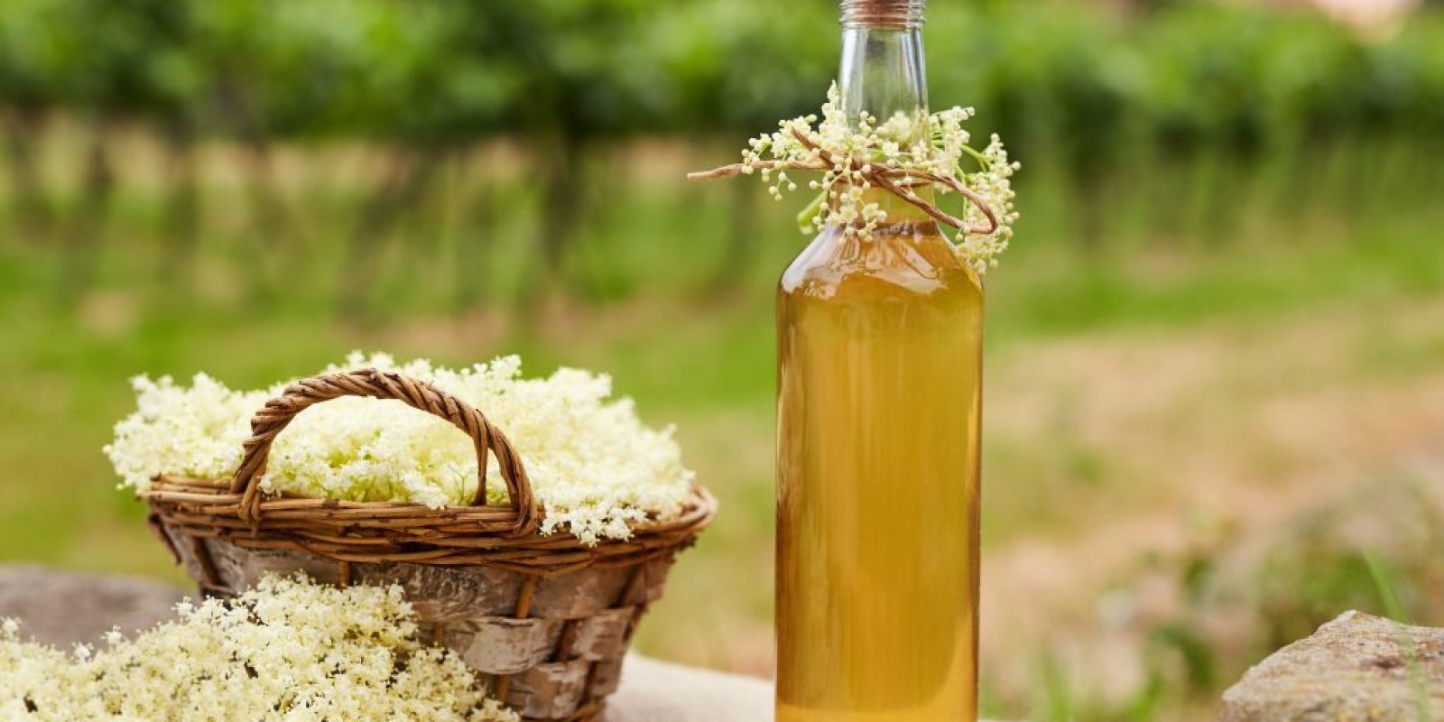 Holunderblüten Likör