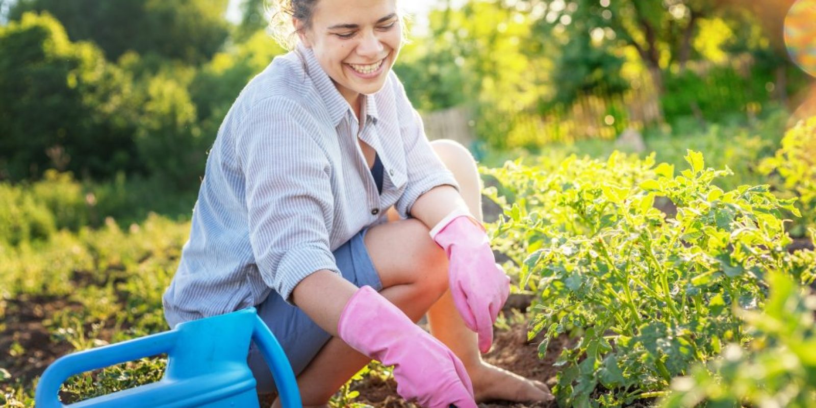 Kräutergärten gestalten
