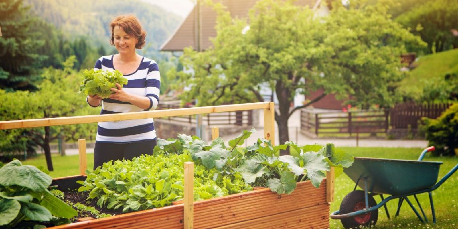 Kräuterhochbeet aus Holz