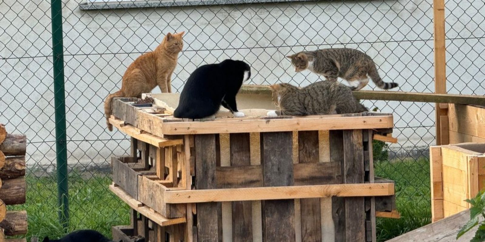 Kräuterhochbeet aus Paletten