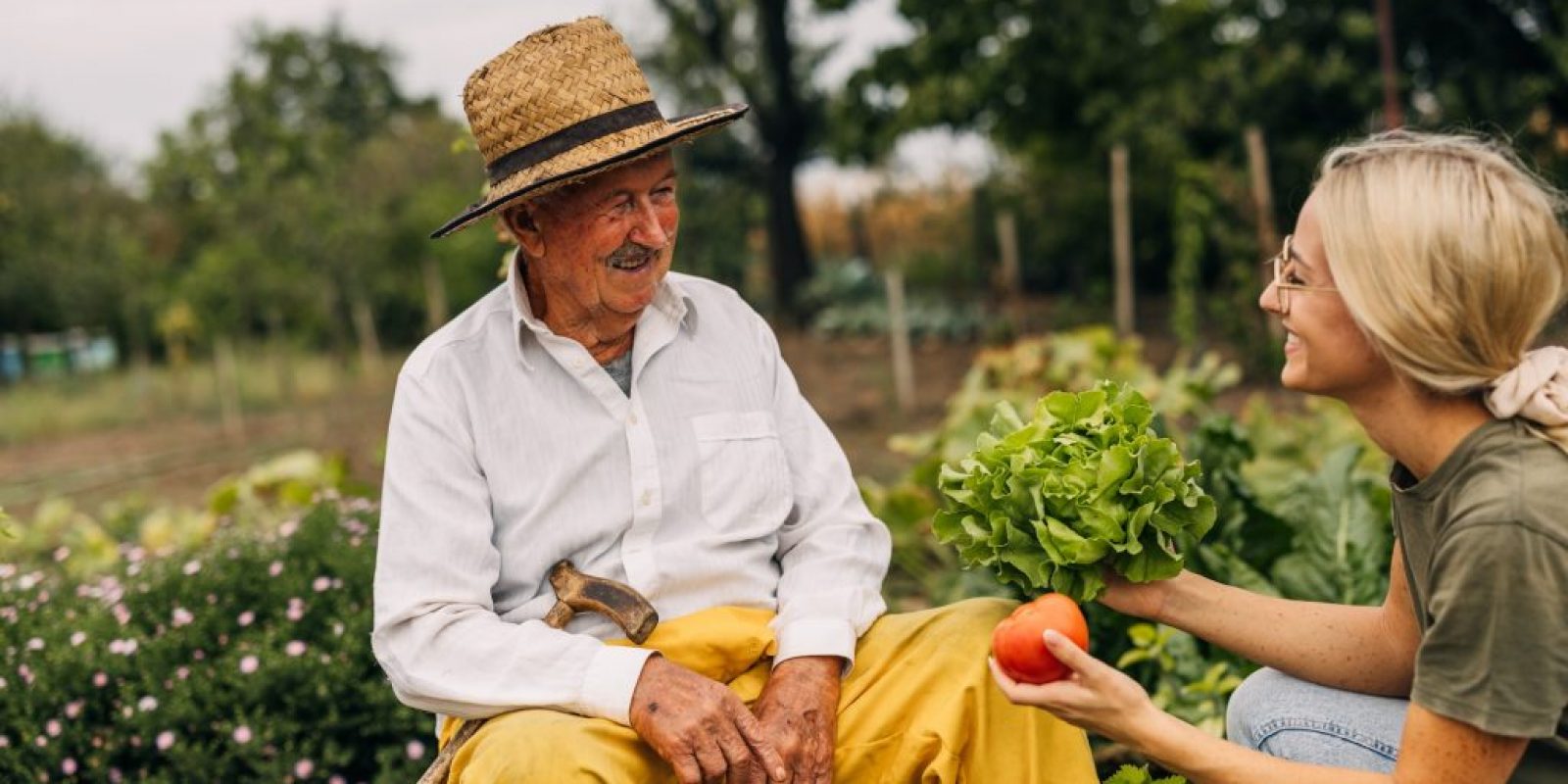 Preiswerte Sitzgelegenheiten im Garten für Senioren