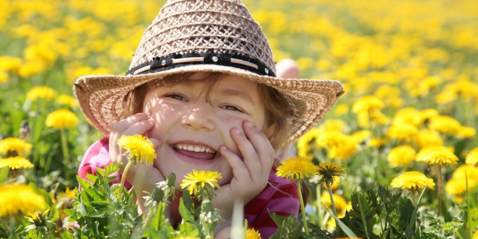 Rasen oder Blumenwiese