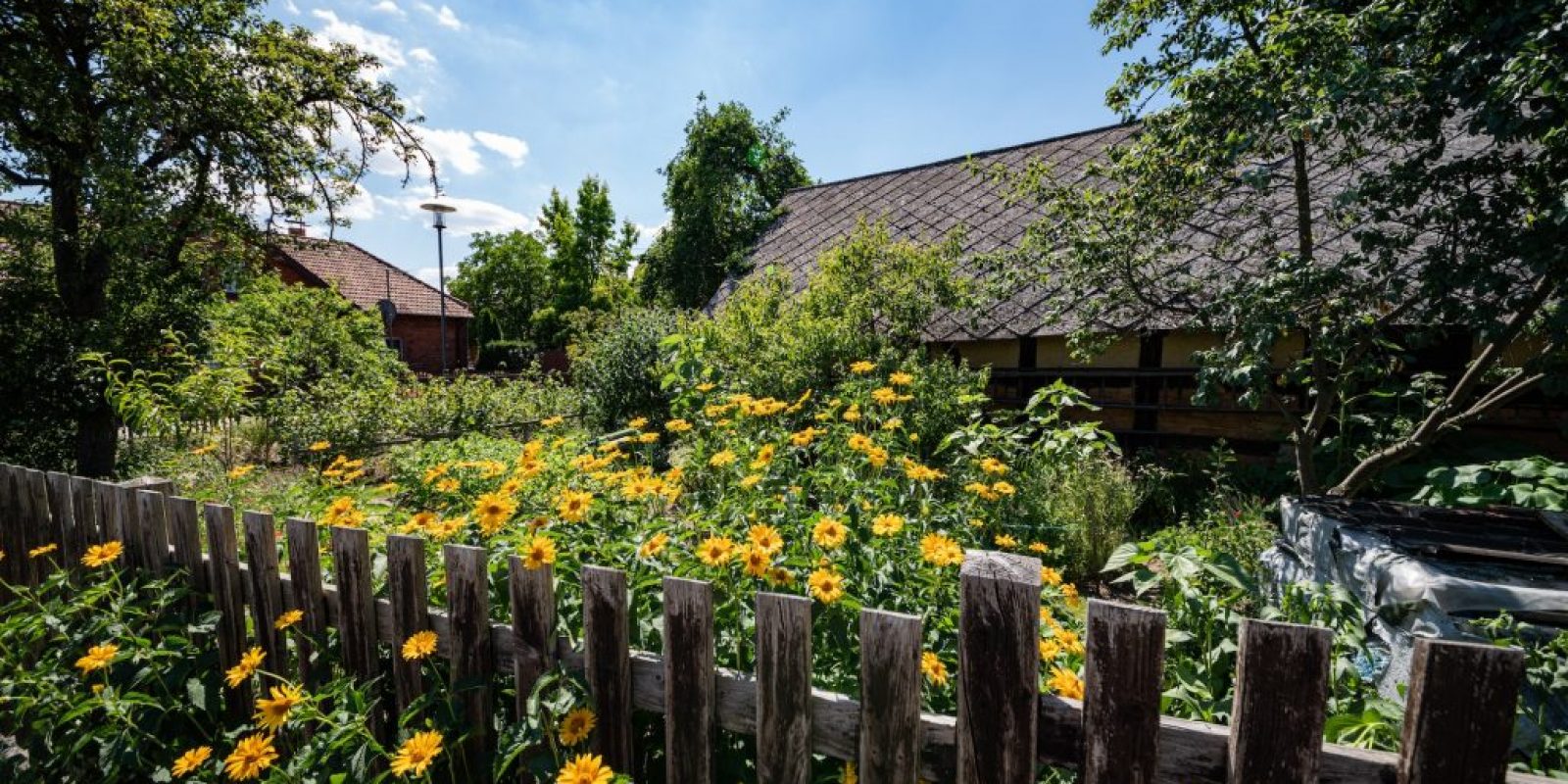 Vorgarten Gestaltung