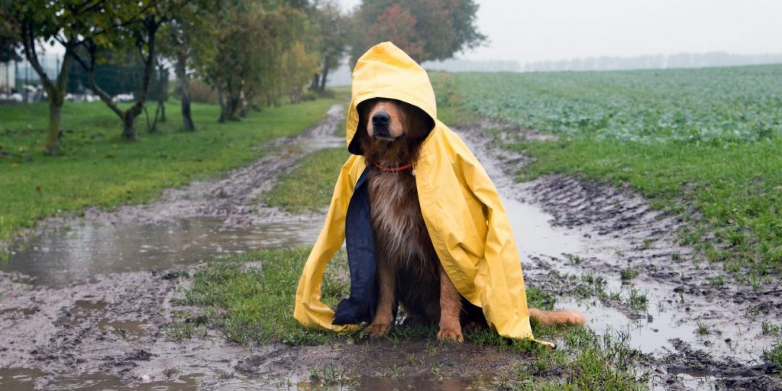 Was tun bei Regenwetter