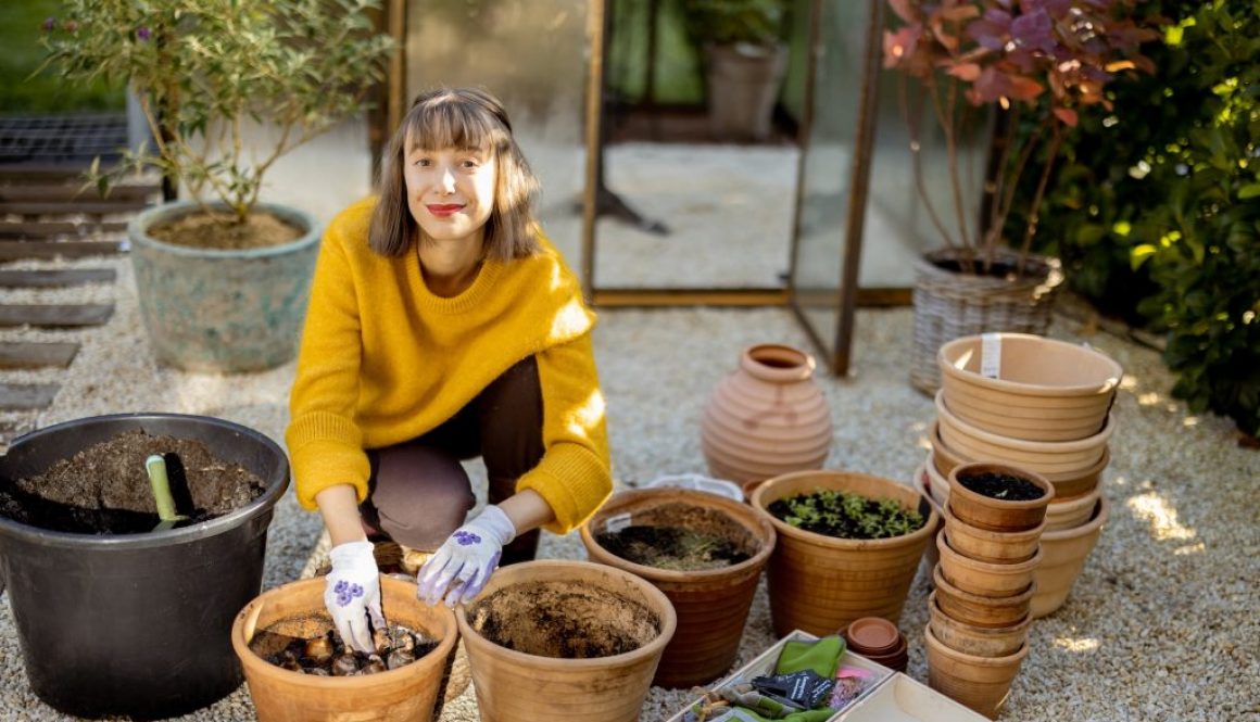 Blumenzwiebeln für einen farbenfrohen Frühlingsgarten