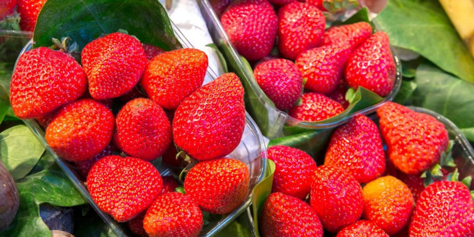 Die besten Erdbeersorten