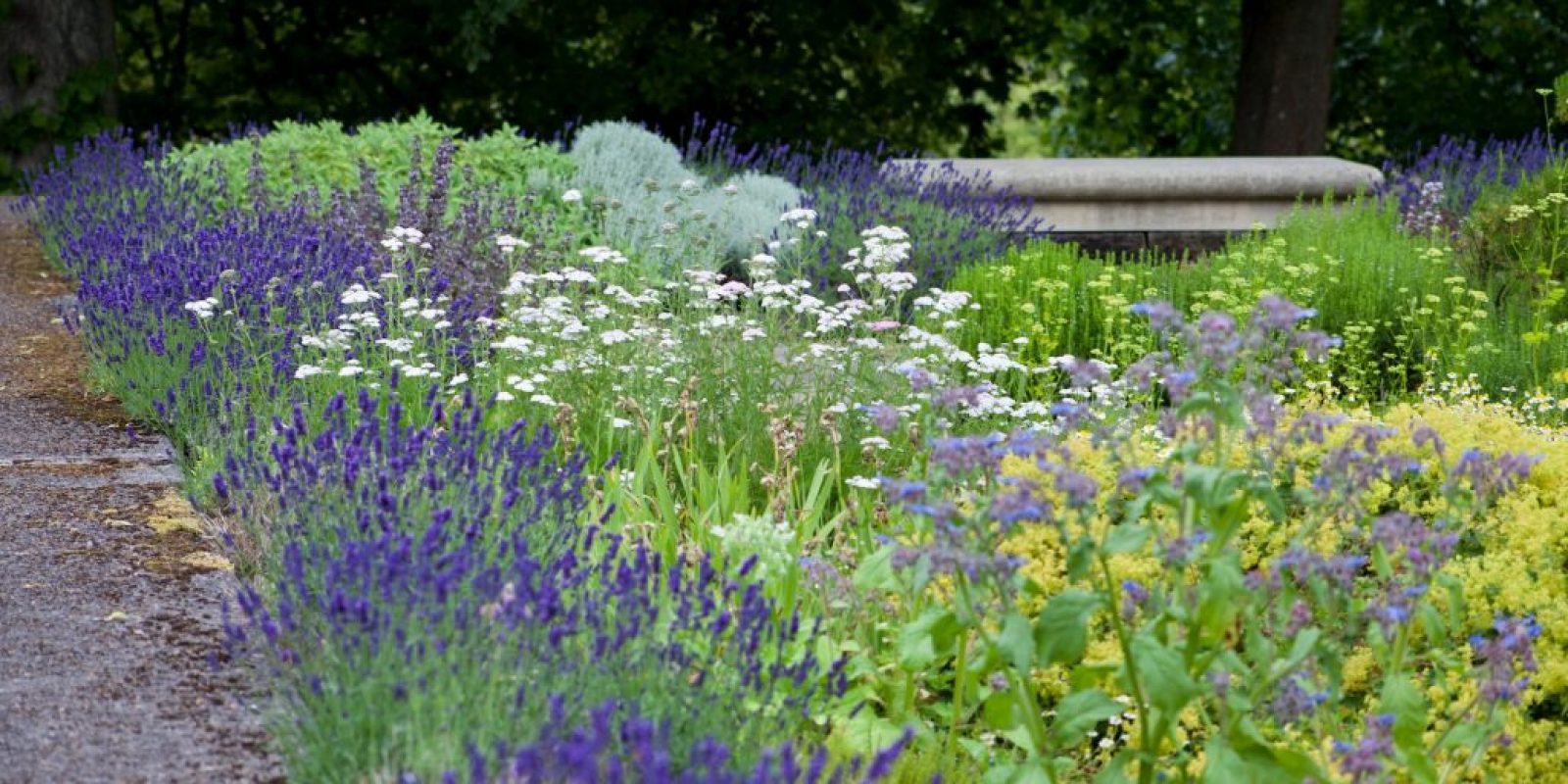 Duftgarten Leitfaden