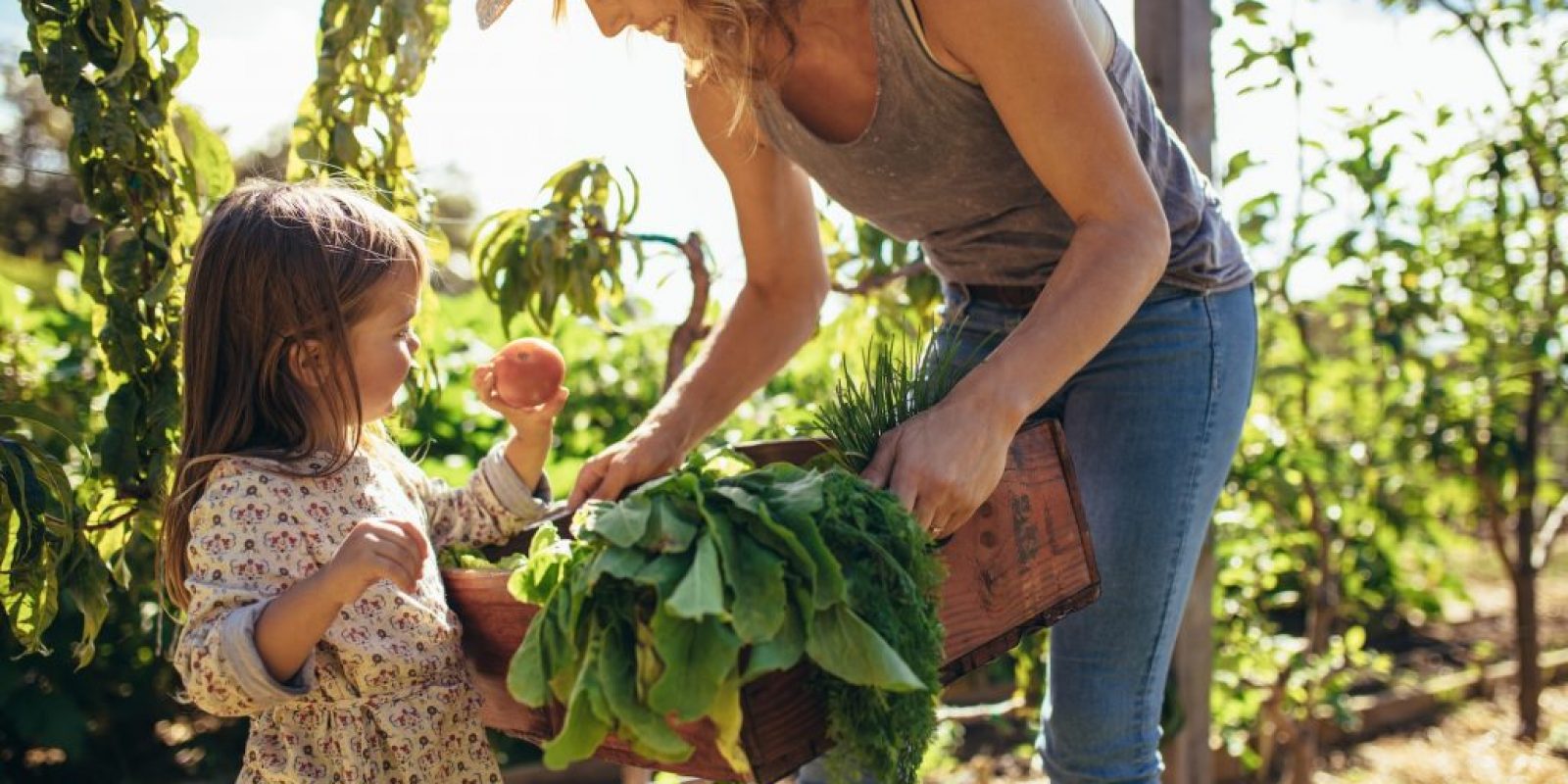 Gartenarbeit Mittagsruhe