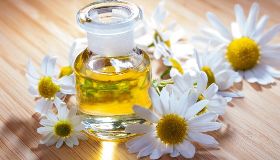 Kamille (Matricaria chamomilla)