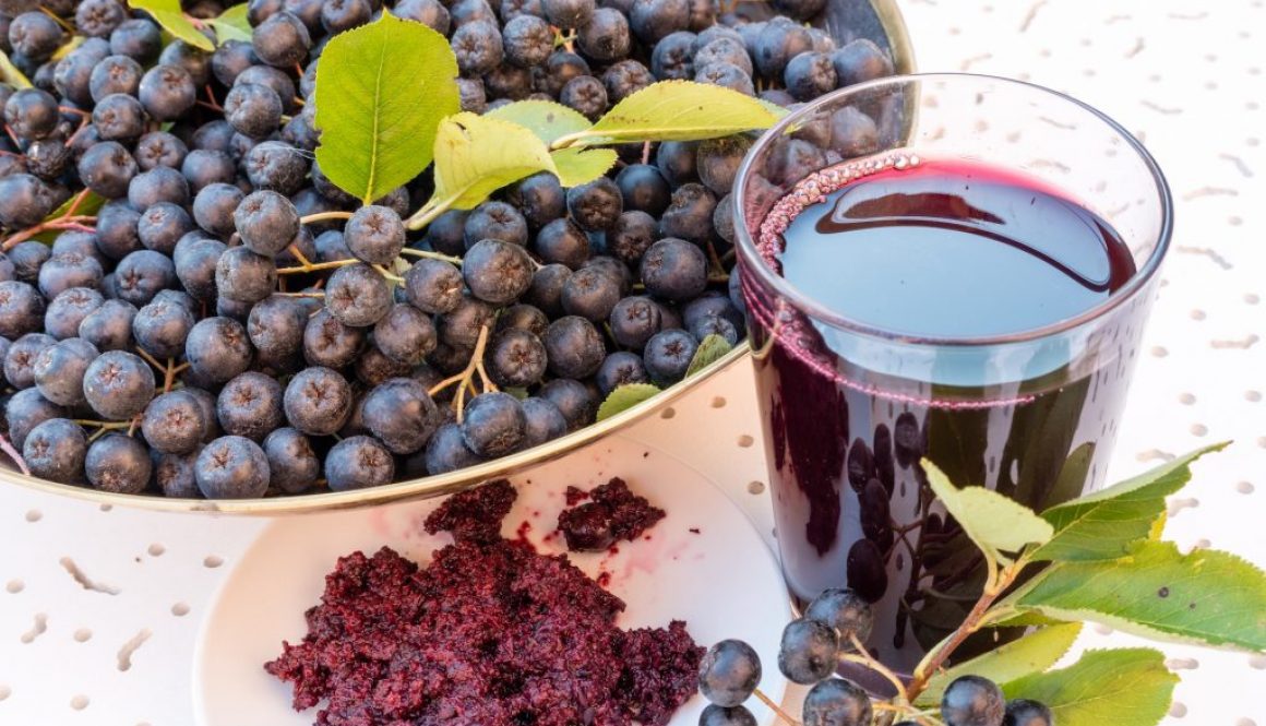 Aronia (Aronia melanocarpa) 