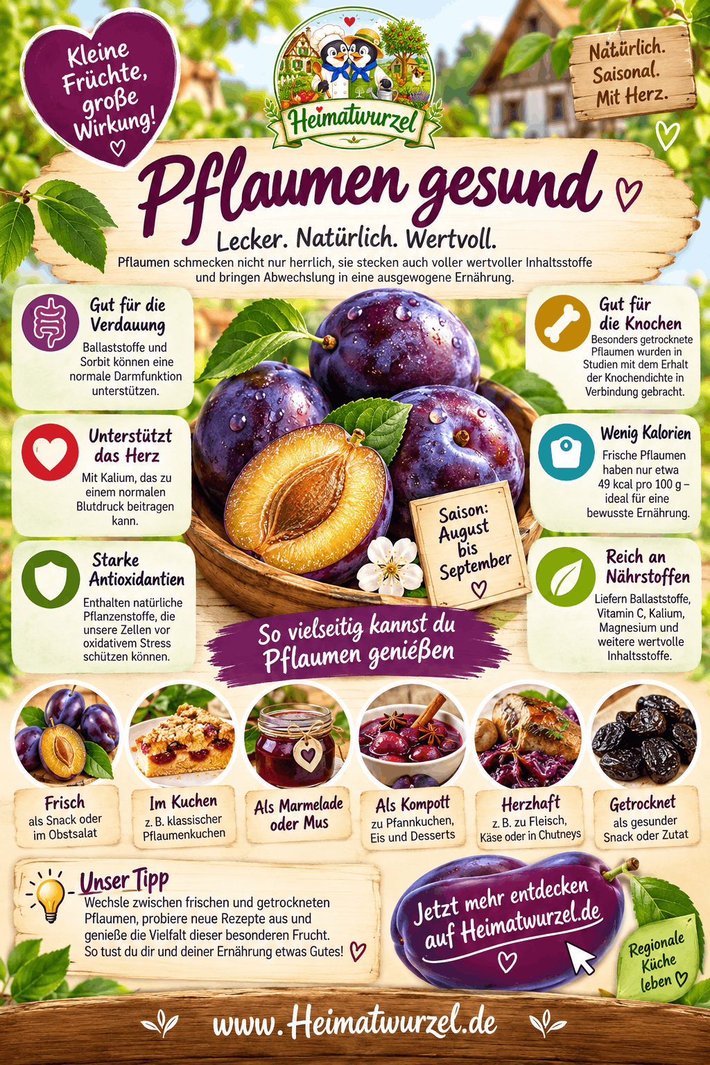 Pflaumen gesund Infografik Pflaumen gesund Infografik