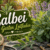 Salbei im Garten Leitfaden