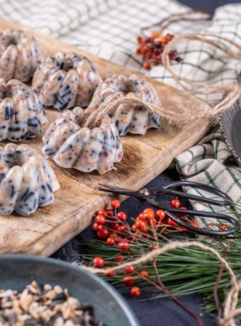 Fütterung von Vögeln im Winter Tipps